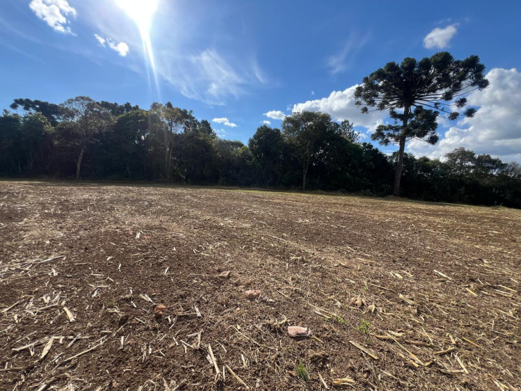 Área rural / urbana