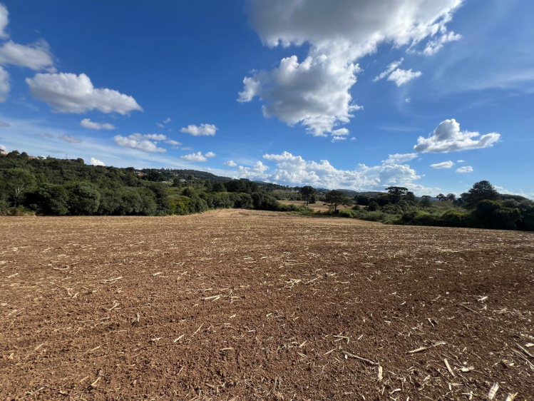 Área rural / urbana