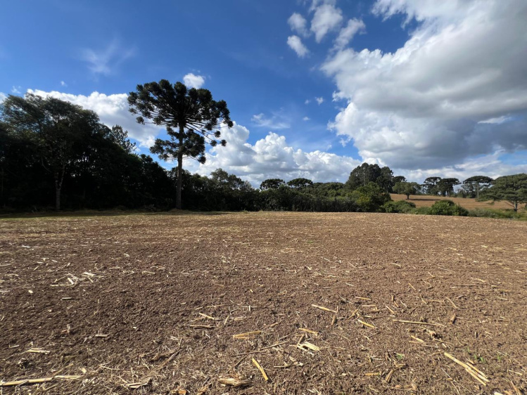 Área rural / urbana