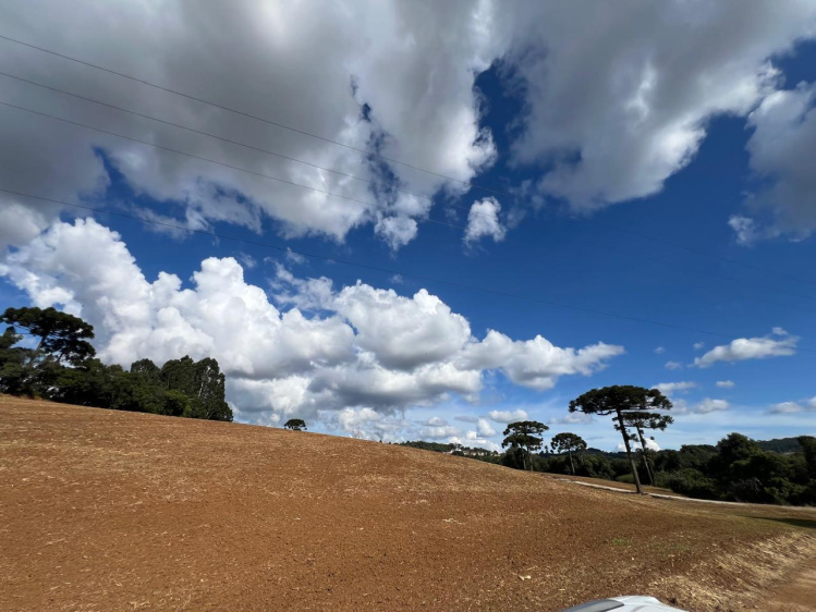 Área rural / urbana